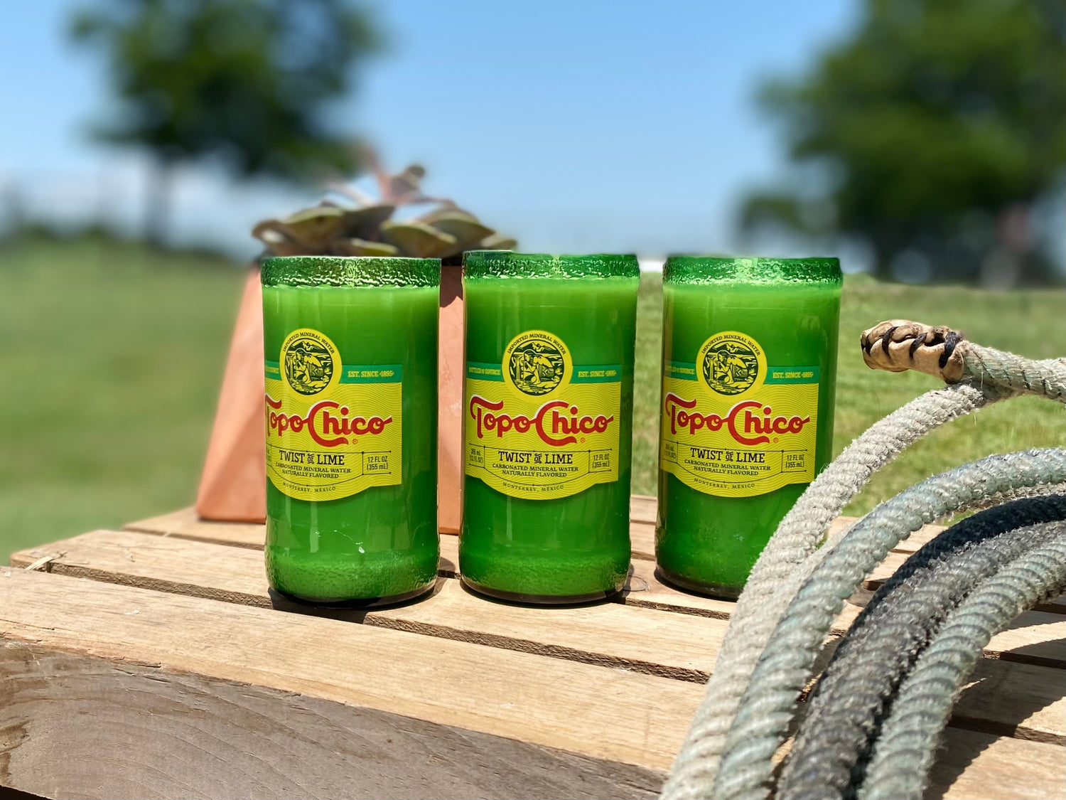 All Things Topo Chico